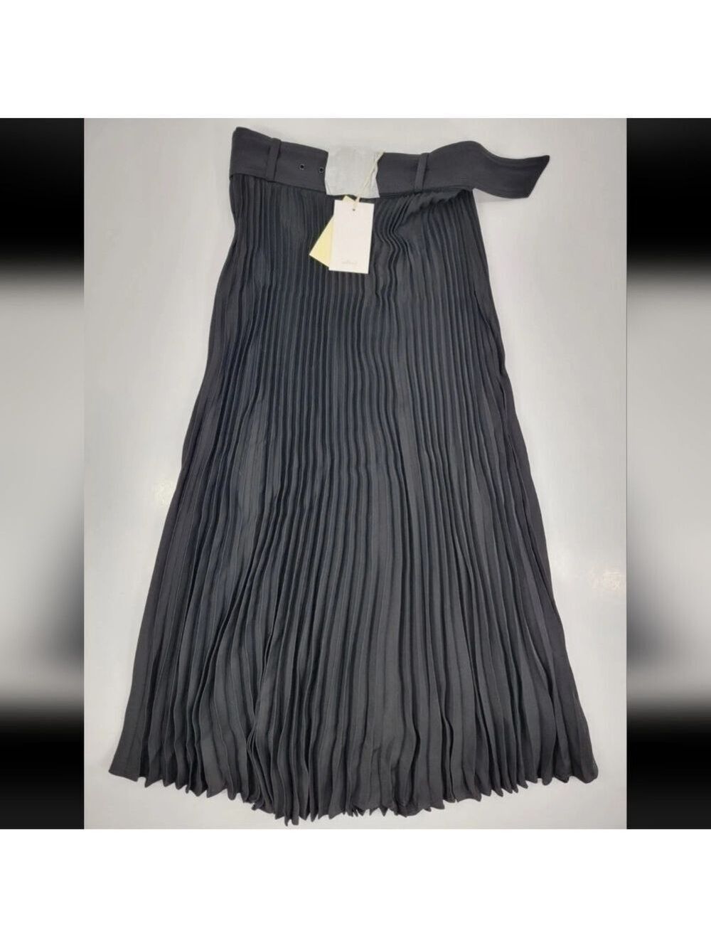 NEW Aritzia Wilfred Women’s Providence Skirt Pleated Belted Lined Black Size 4